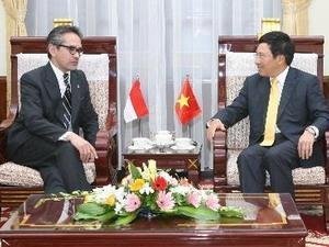Entretien entre Pham Binh Minh et Marty Natalegawa